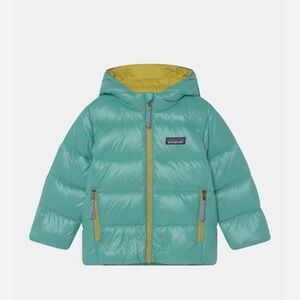 Patagonia toddler hi-loft down sweater hoody